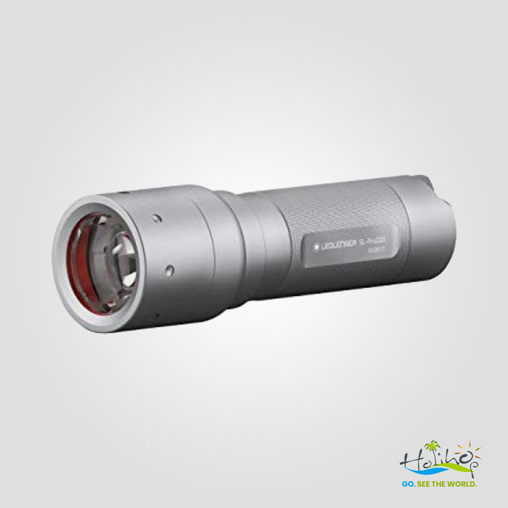 ledlenser-solidline-sl-pro25-keychain-led-flashlight-holihop.in